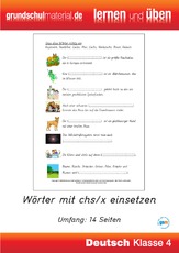 Wörter-mit-chs-x-zuordnen.pdf